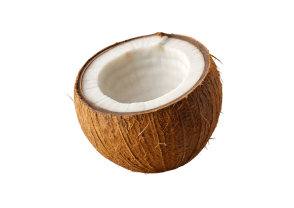 3D Whole Brown Coconut with Fibrous Husk PNG Graphics: A Versatile Design Asset