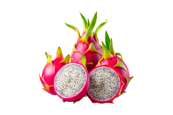 Dragon Fruit of Pitahaya Clipart 3D PNG