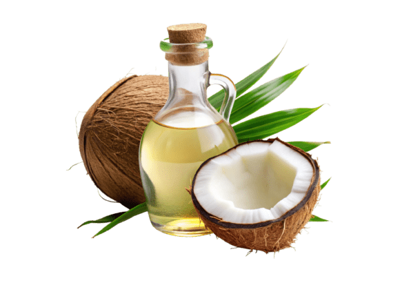 Unlocking Creativity with Bottle of Oil and Half of Coconut 3D PNG Assets